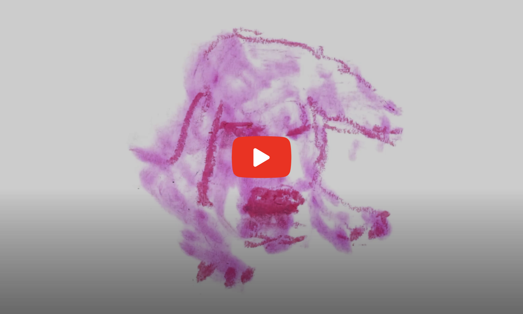 They Might Be Giants - Dog (Official Video)